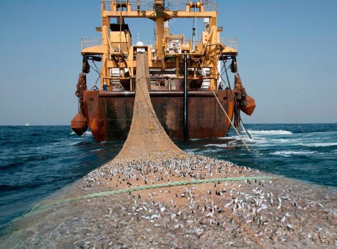 pesca a strascico