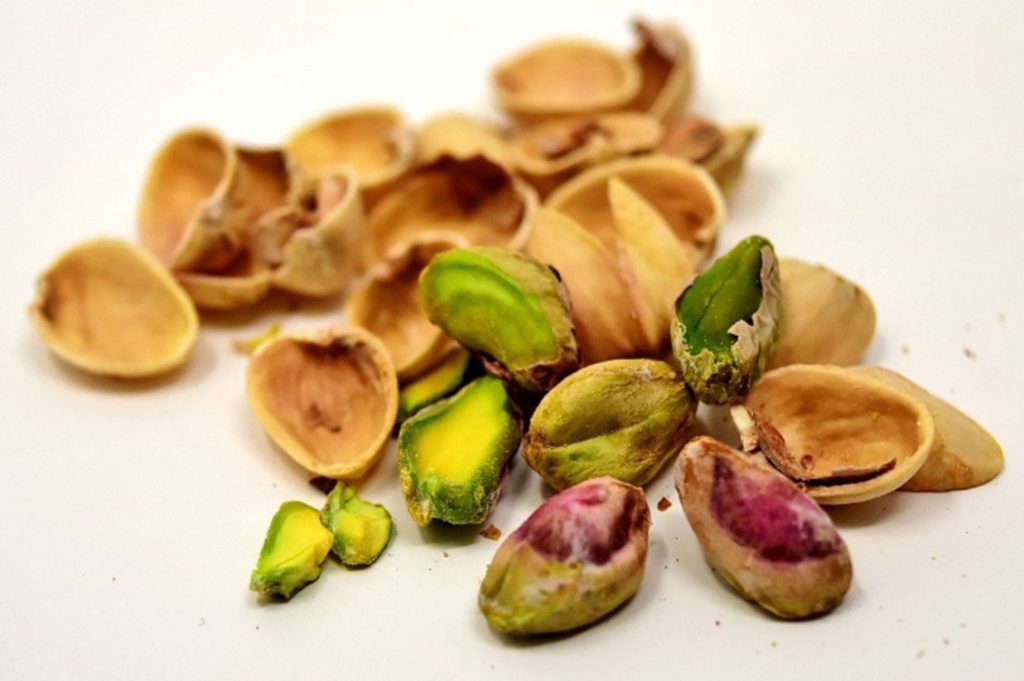 pistacchio caratteristiche
