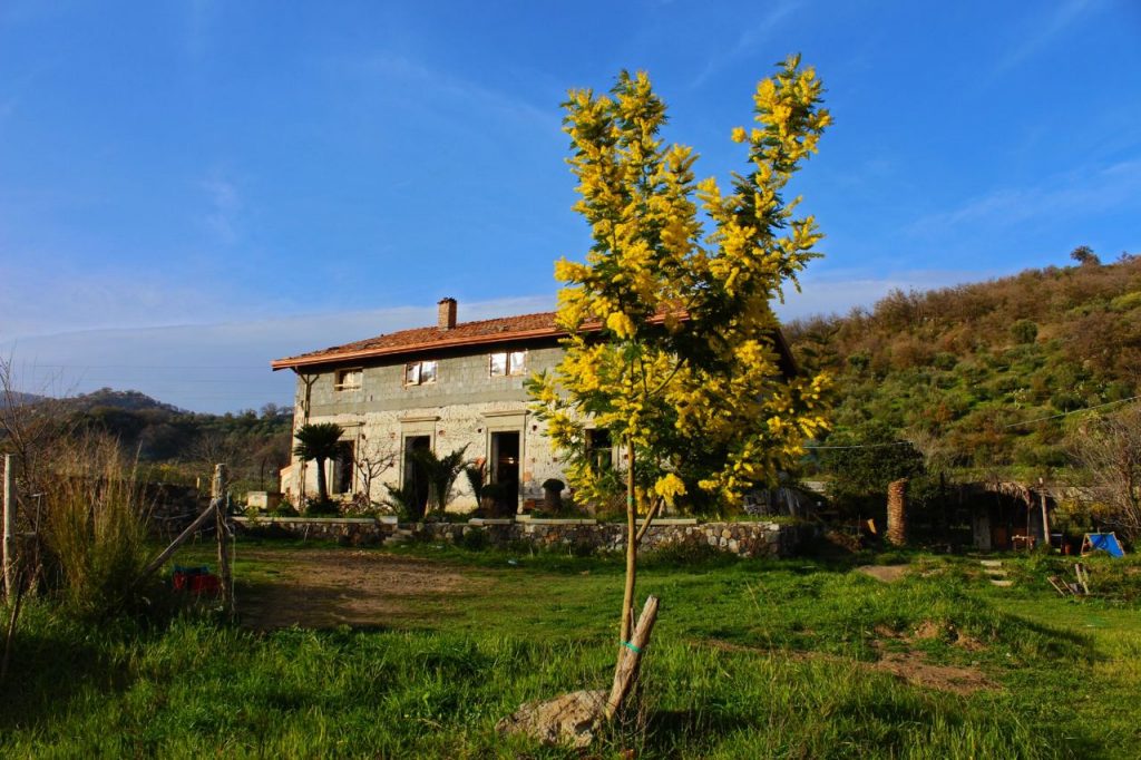 settevoci1