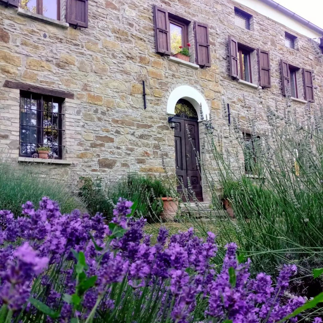 Azienda agricola Roncolo Bosco4