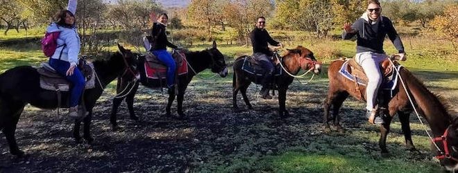 etna donkey copertina
