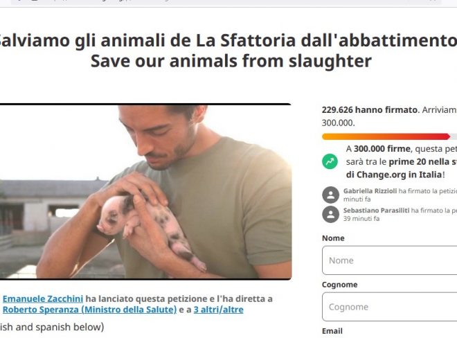 sfattoria2