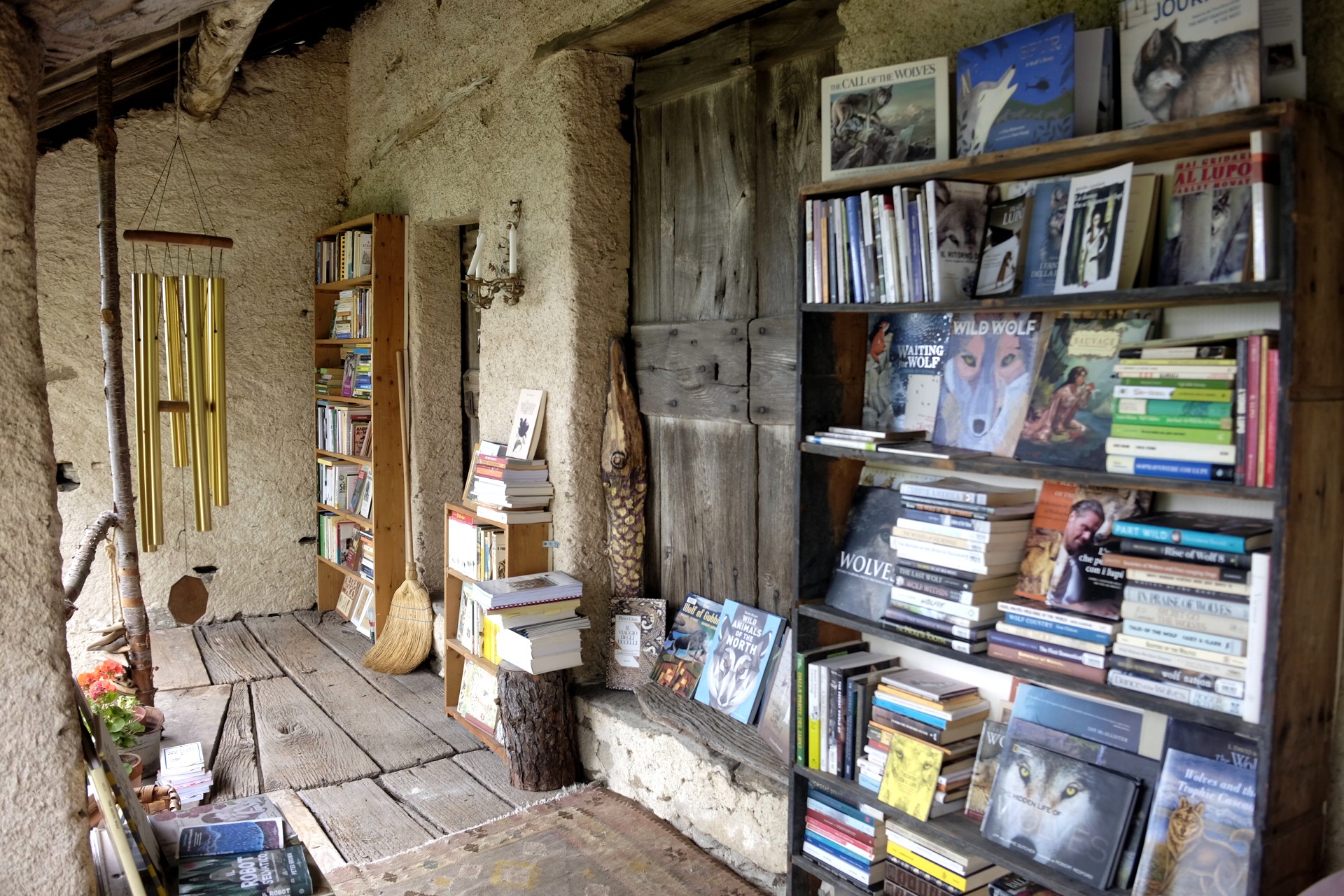 La Biblioteca del Lupo3