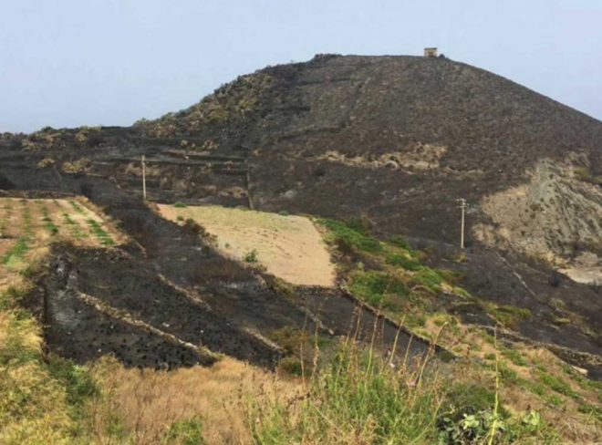 incendi sicilia