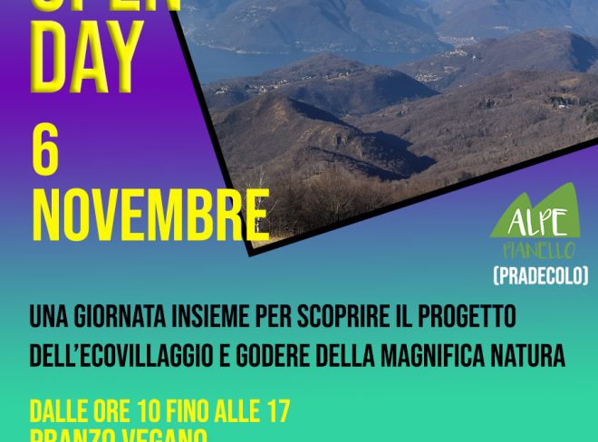 6 novembre