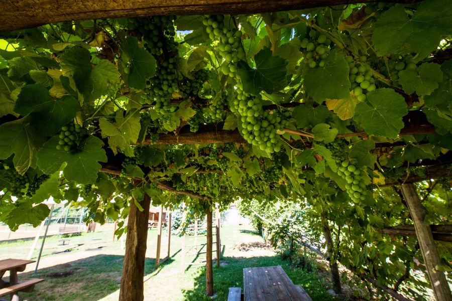 Cascina Veja4