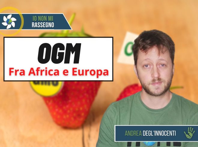 ogm