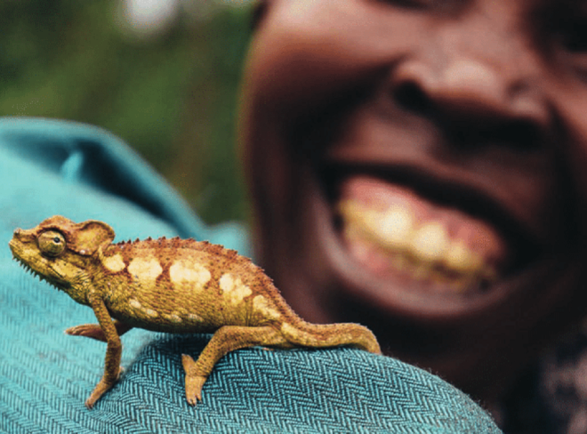 Living Planet Report 1