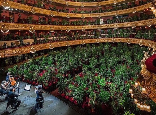 artists for plants1