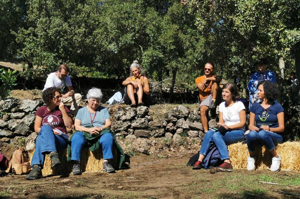 festival viriditas