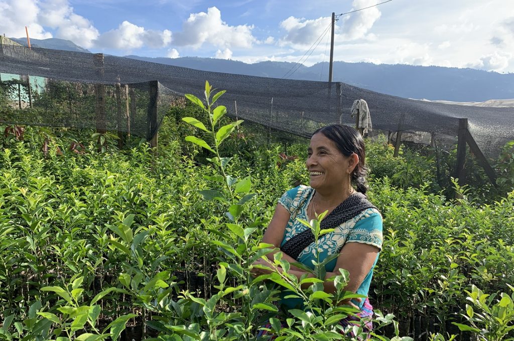 Petatan Huehuetenango
