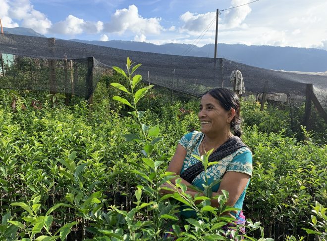 Petatan Huehuetenango