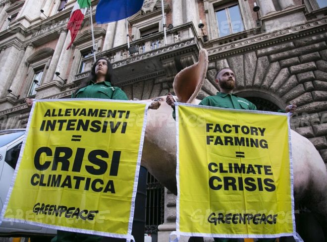 allevamenti intensivi greenpeace