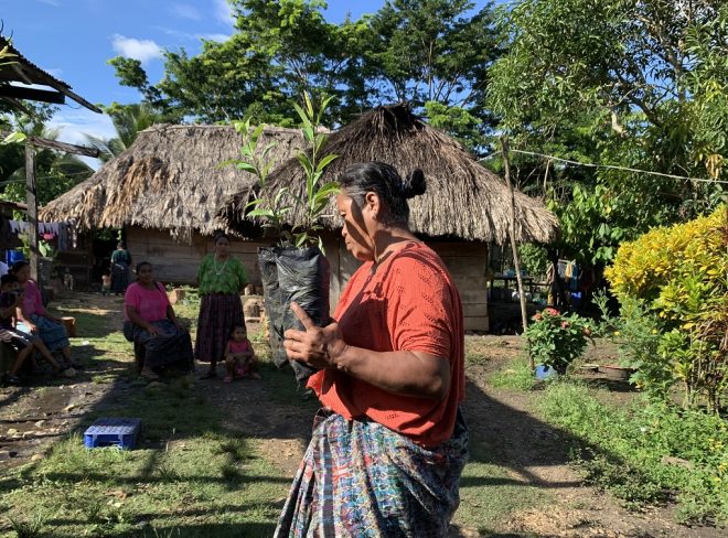guatemala