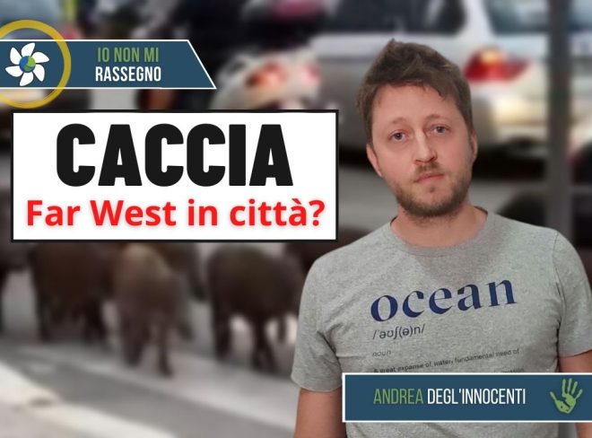 caccia