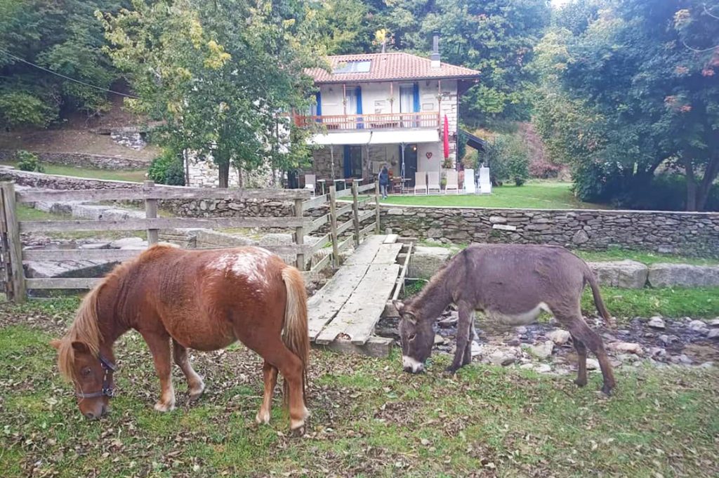 Melizio2