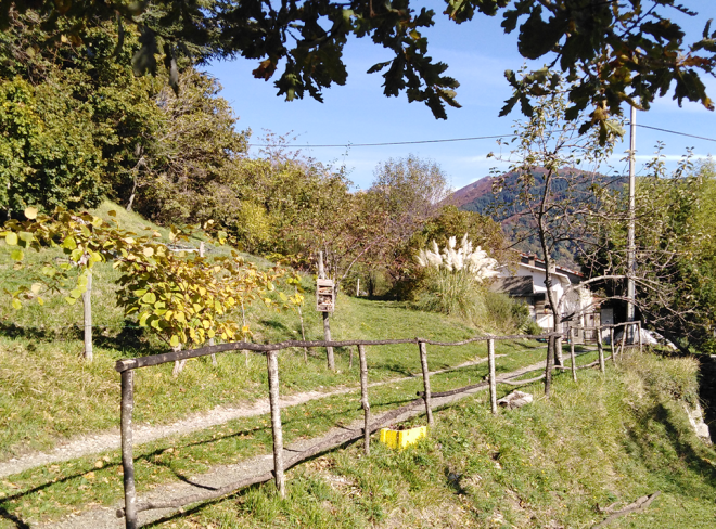 borgo 1