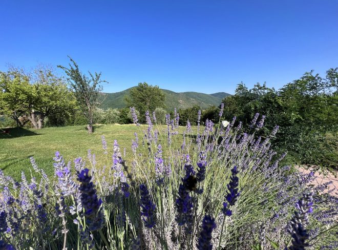 hotel umbria