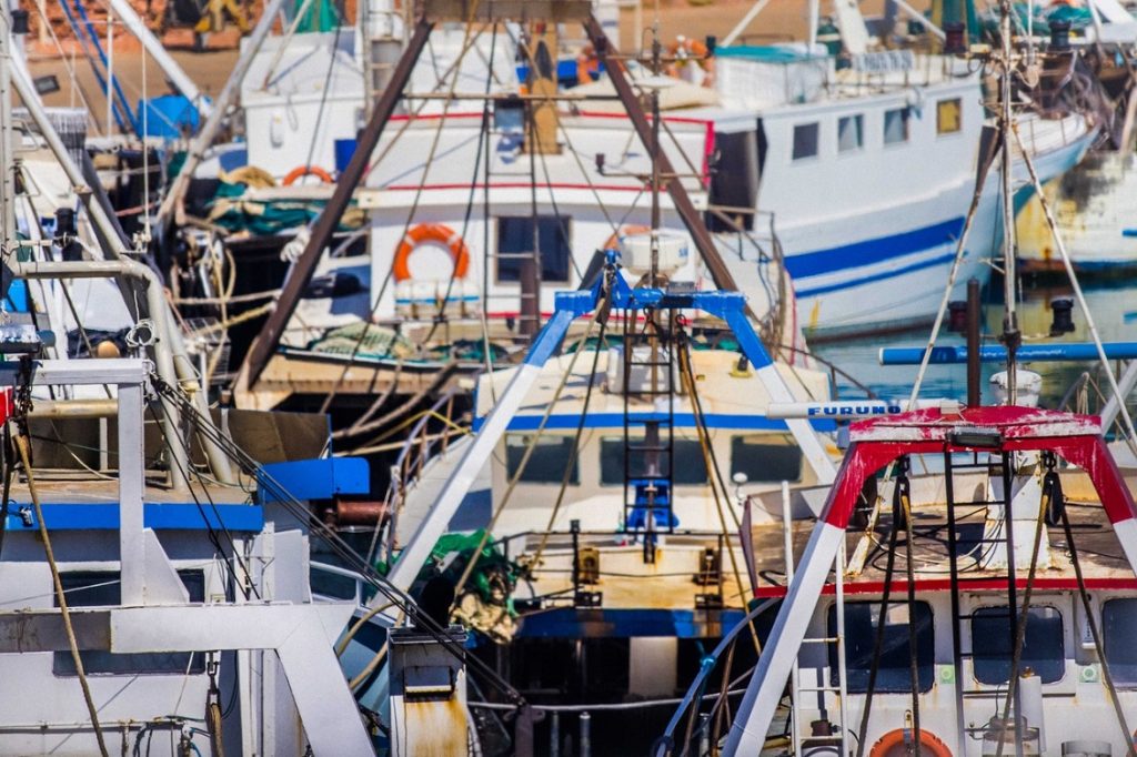 pesca a strascico 2