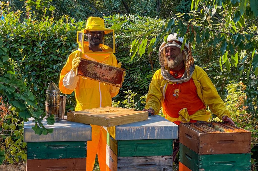 Bee My Job1
