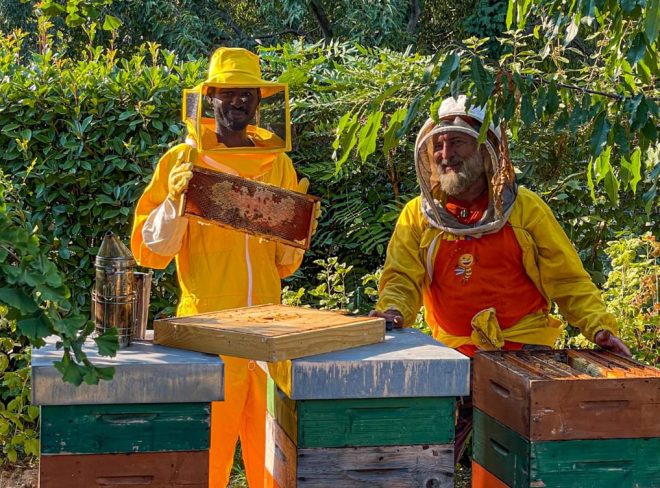 Bee My Job1
