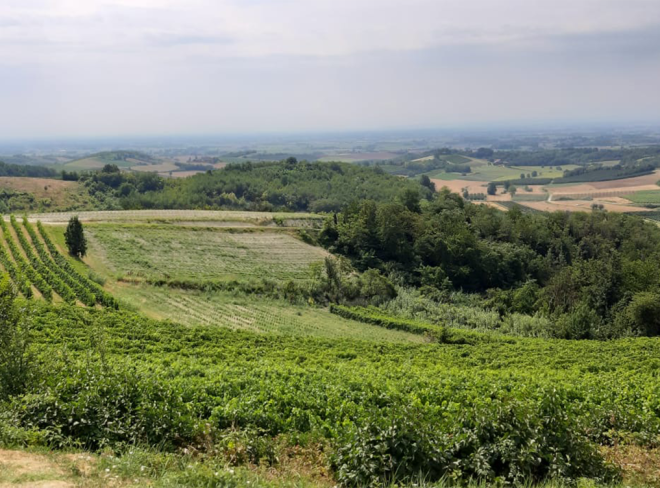 Cascina San Giorgio 1