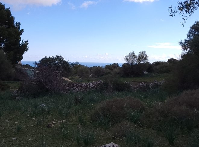 IMG 20230123 114201 4