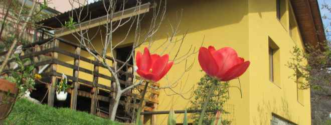 Immagine 3