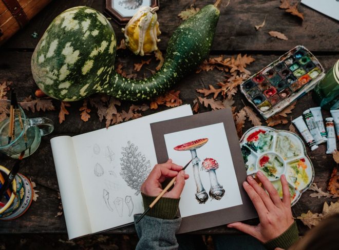 Natura Illustrata cover
