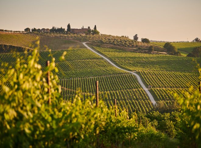 Vino Piemonte1