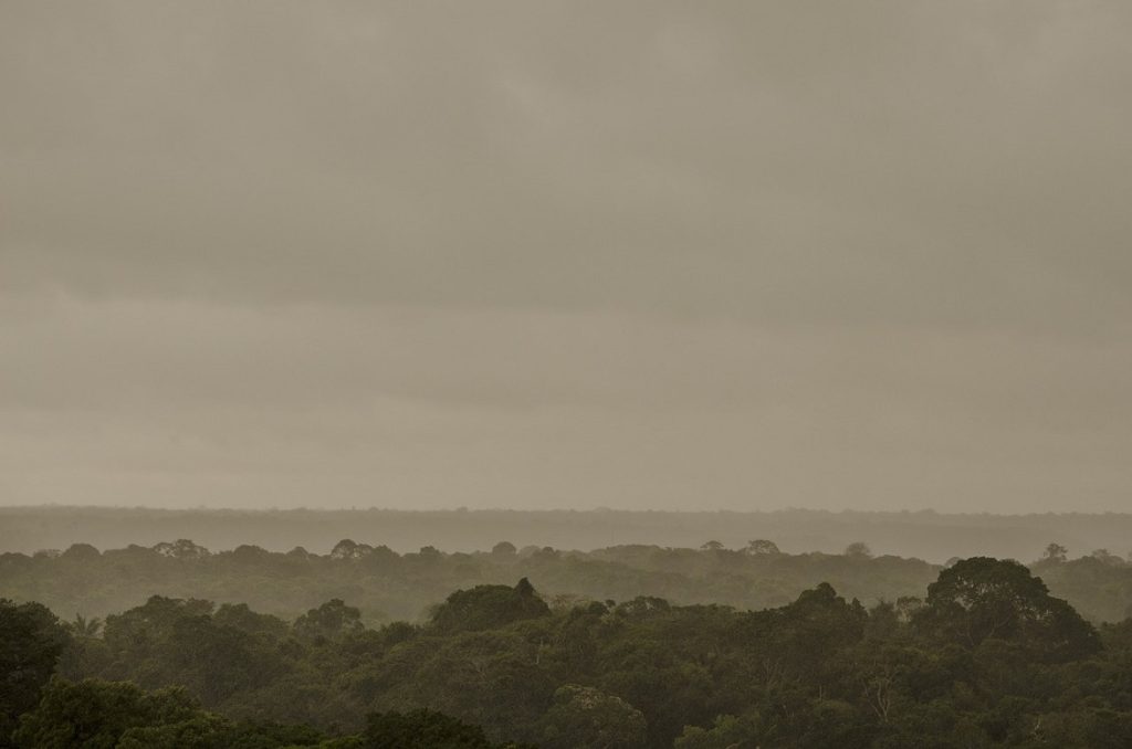 amazzonia