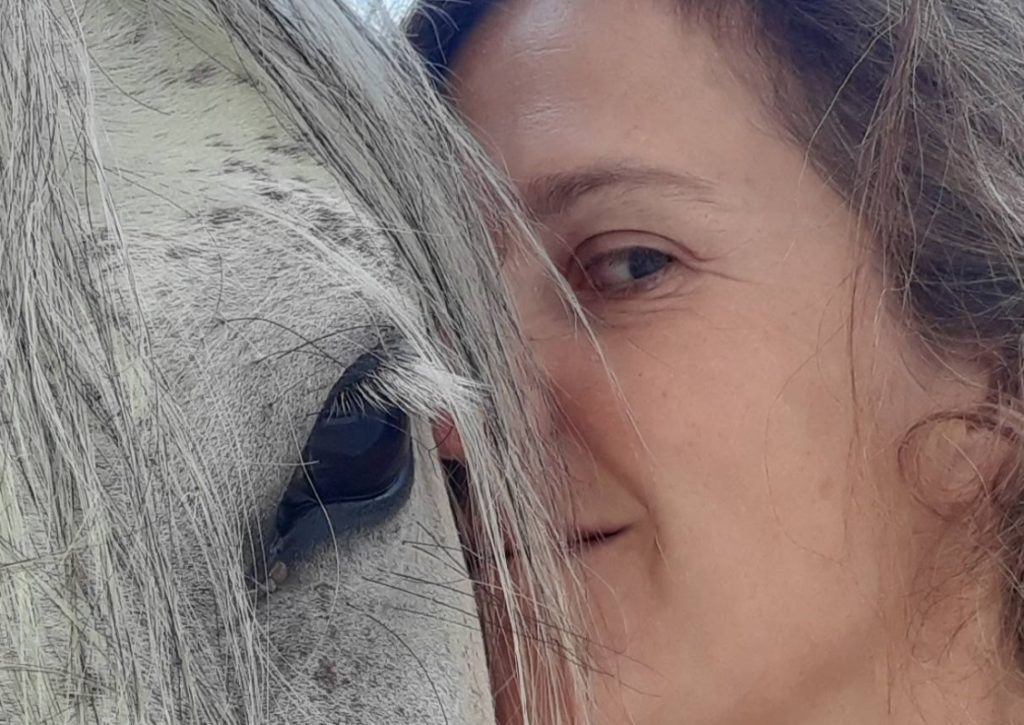 cavallo