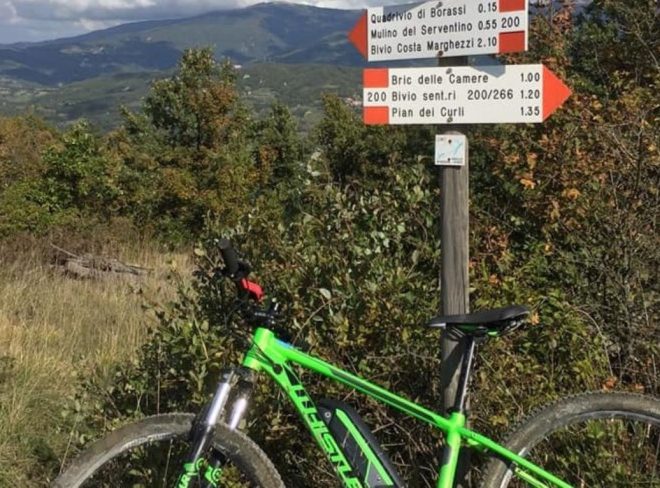 ebike borassi
