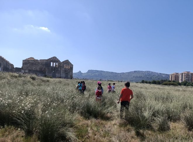punti di vista1