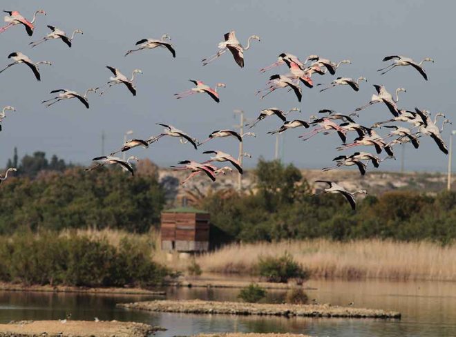 Saline di Priolo