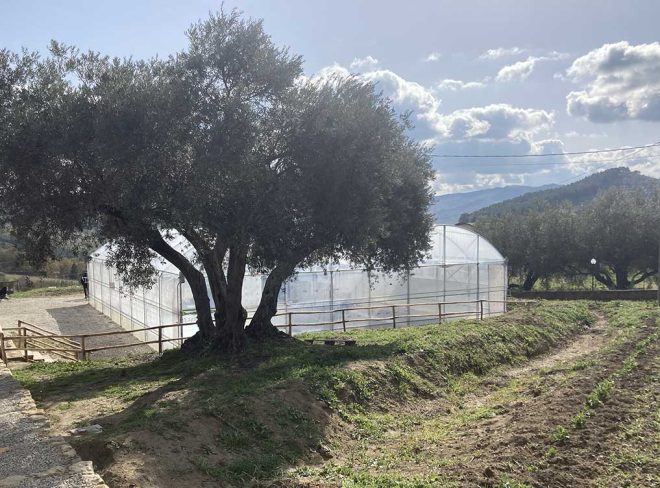 Foto serra
