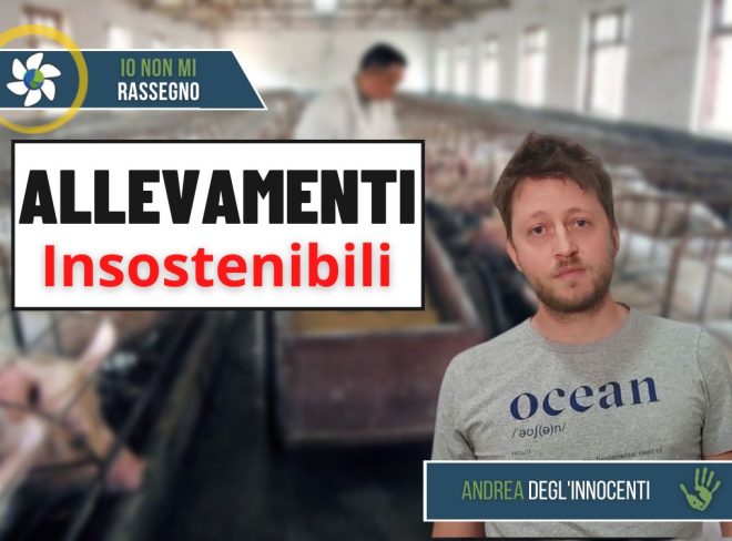 allevamenti di maiali in spagna