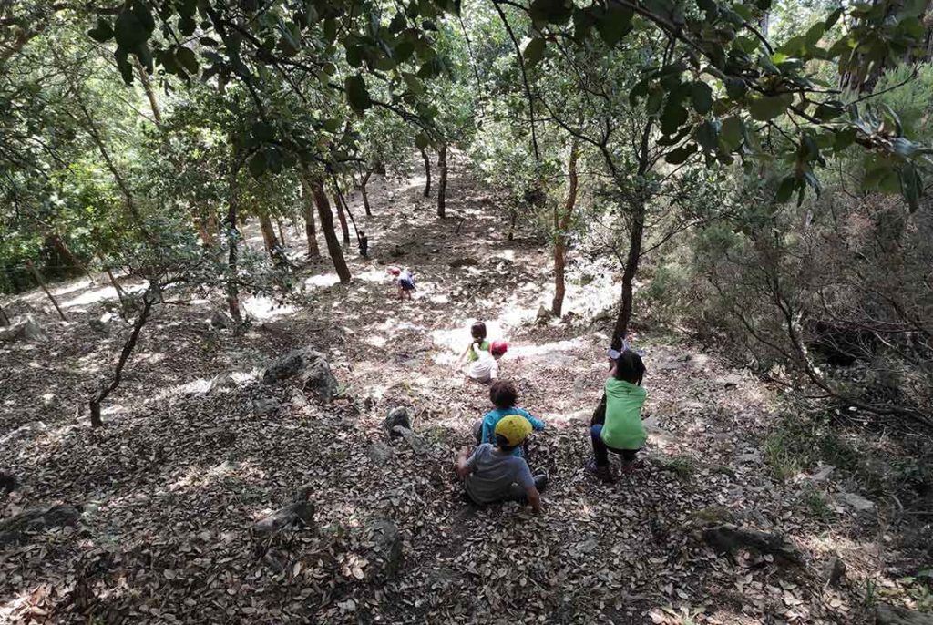 Educare nel bosco Messina
