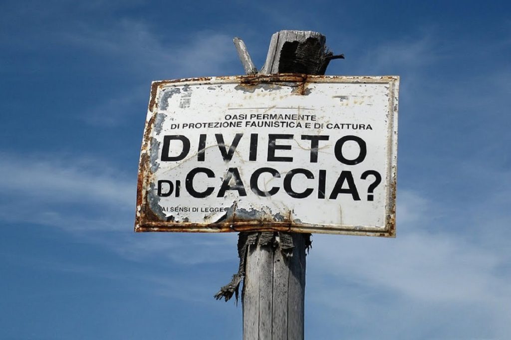 caccia56