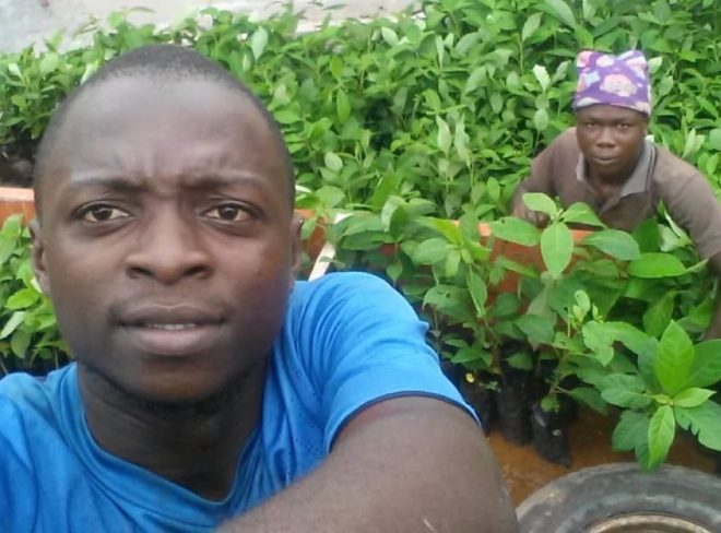 riforestazione congo