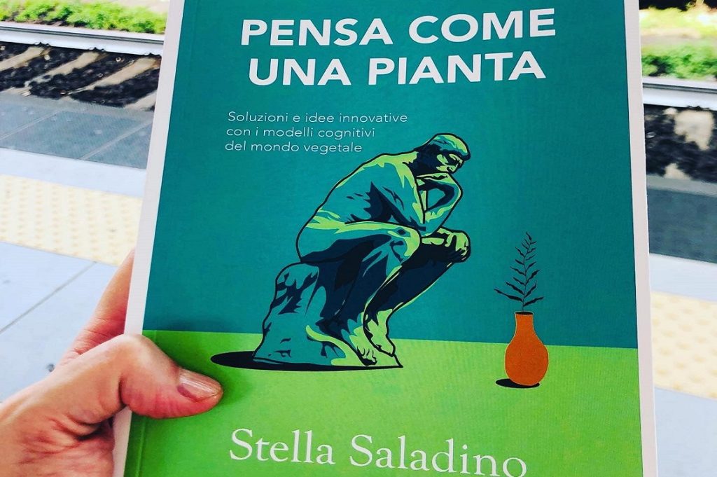 stella saladino 2