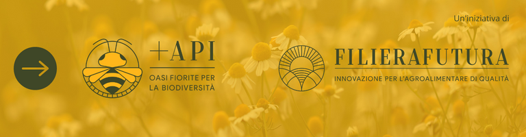 api e biodiversità