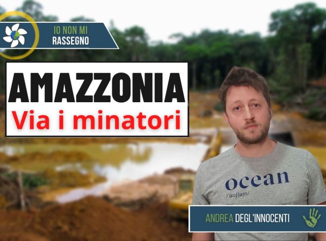 yanomami