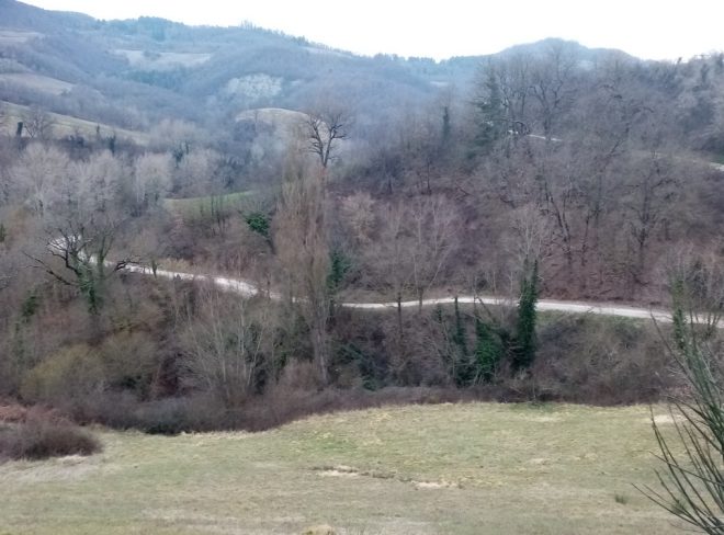 asfaltatura2