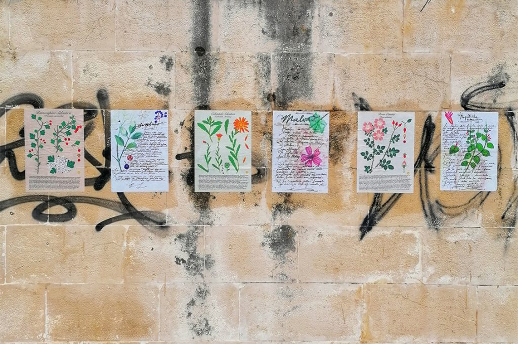 Attacchi botanici del Collettivo Ocra