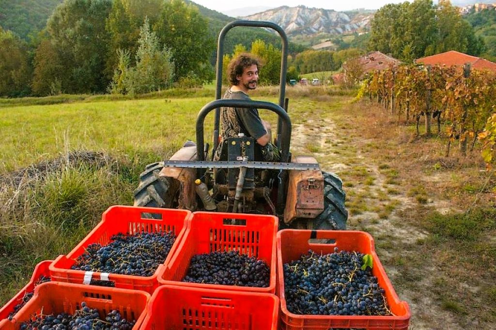 gabriele patriarca