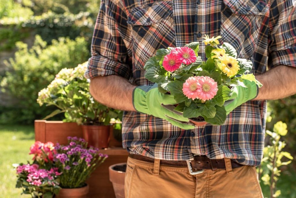 giardiniere fiori
