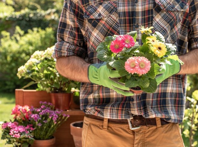 giardiniere fiori