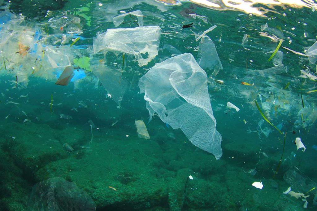 marine litter