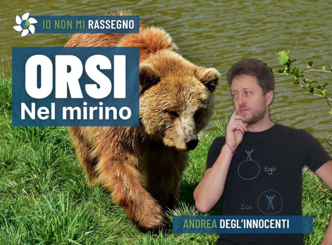 INMR Copertina per homepage smrk 14